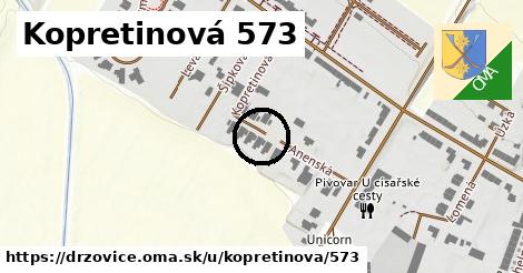 Kopretinová 573, Držovice