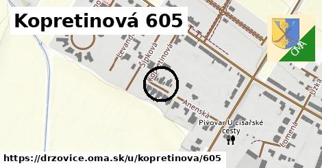 Kopretinová 605, Držovice