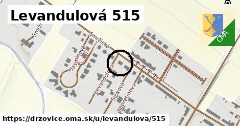 Levandulová 515, Držovice