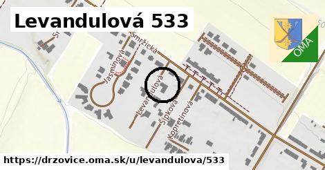 Levandulová 533, Držovice