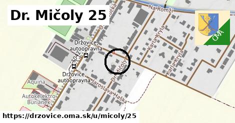 Dr. Mičoly 25, Držovice