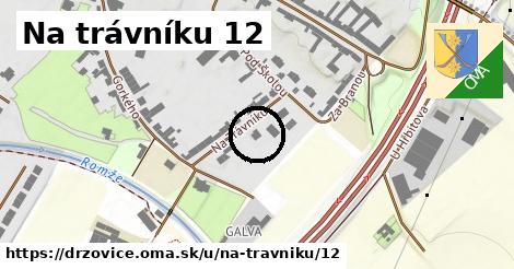 Na trávníku 12, Držovice