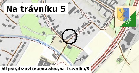 Na trávníku 5, Držovice