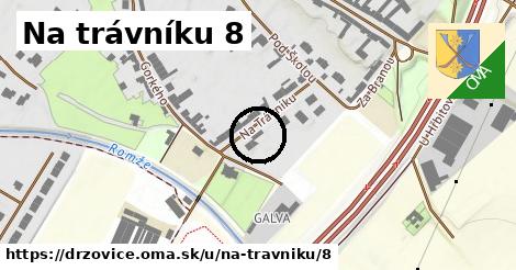 Na trávníku 8, Držovice