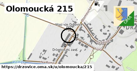 Olomoucká 215, Držovice