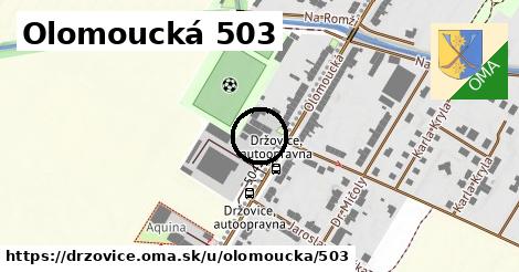 Olomoucká 503, Držovice