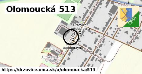 Olomoucká 513, Držovice