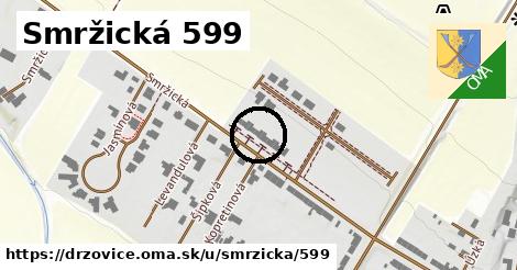 Smržická 599, Držovice