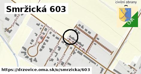 Smržická 603, Držovice