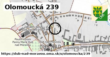 Olomoucká 239, Dub nad Moravou