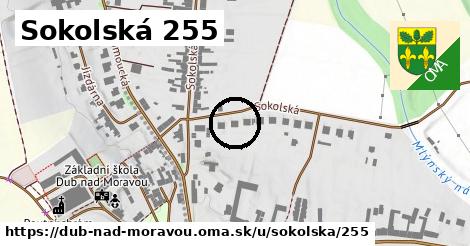 Sokolská 255, Dub nad Moravou