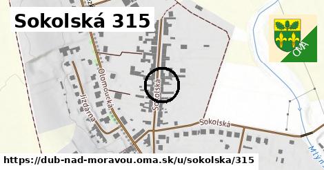 Sokolská 315, Dub nad Moravou