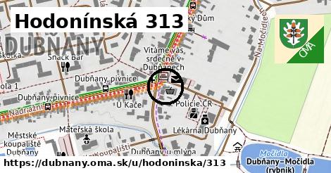 Hodonínská 313, Dubňany