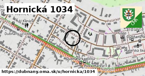 Hornická 1034, Dubňany