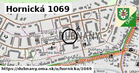 Hornická 1069, Dubňany