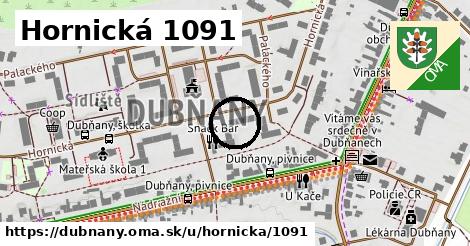 Hornická 1091, Dubňany