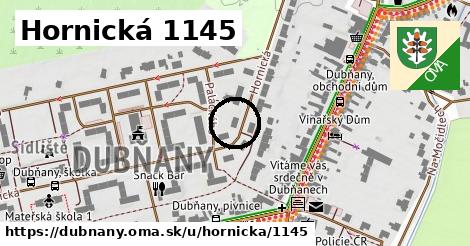 Hornická 1145, Dubňany