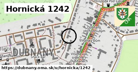 Hornická 1242, Dubňany