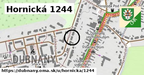 Hornická 1244, Dubňany