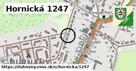 Hornická 1247, Dubňany