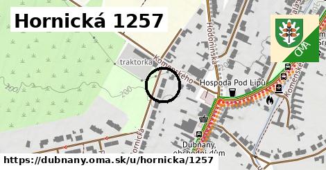 Hornická 1257, Dubňany