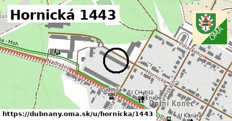 Hornická 1443, Dubňany