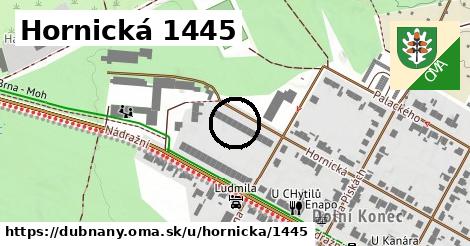 Hornická 1445, Dubňany