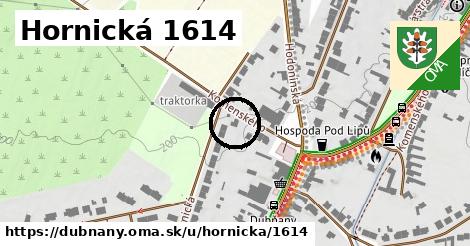 Hornická 1614, Dubňany