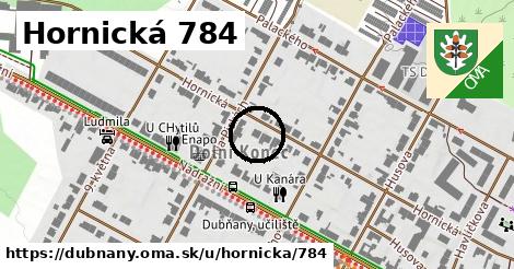 Hornická 784, Dubňany