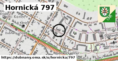 Hornická 797, Dubňany