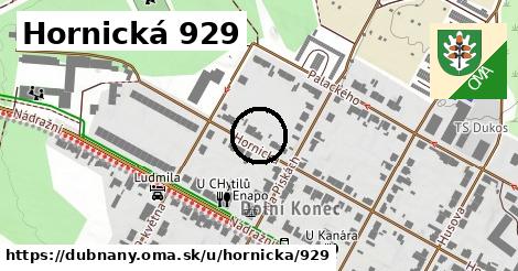 Hornická 929, Dubňany