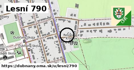 Lesní 790, Dubňany