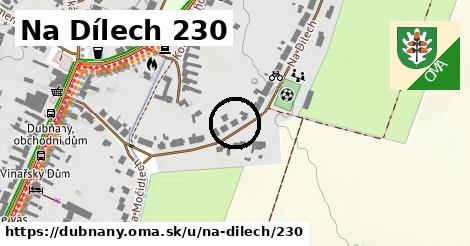 Na Dílech 230, Dubňany