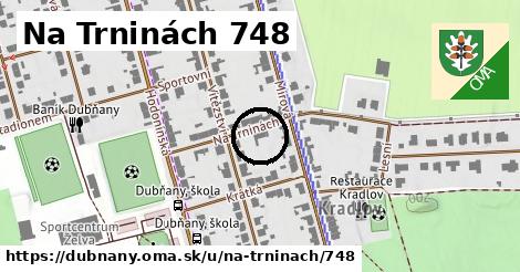 Na Trninách 748, Dubňany