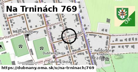 Na Trninách 769, Dubňany