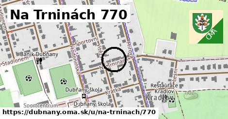 Na Trninách 770, Dubňany