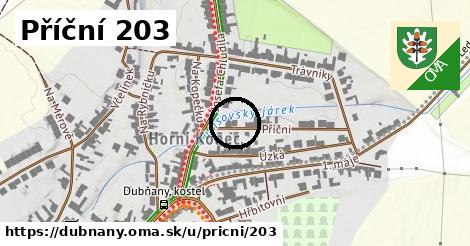 Příční 203, Dubňany