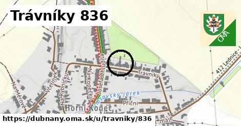 Trávníky 836, Dubňany