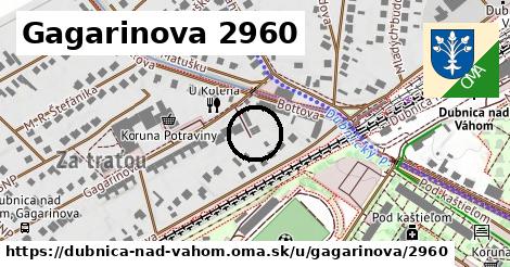 Gagarinova 2960, Dubnica nad Váhom