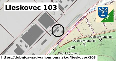 Lieskovec 103, Dubnica nad Váhom