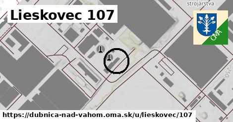 Lieskovec 107, Dubnica nad Váhom