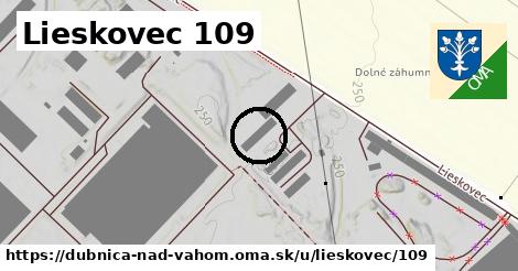 Lieskovec 109, Dubnica nad Váhom