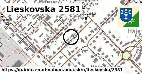 Lieskovska 2581, Dubnica nad Váhom