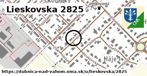 Lieskovska 2825, Dubnica nad Váhom