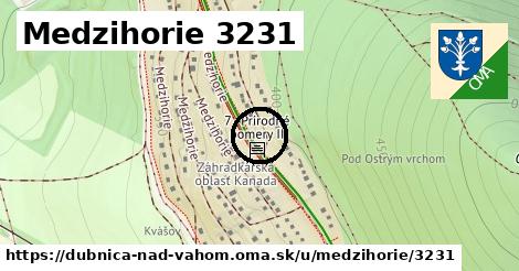 Medzihorie 3231, Dubnica nad Váhom