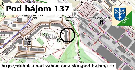 Pod hájom 137, Dubnica nad Váhom