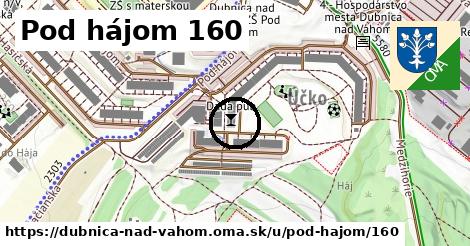 Pod hájom 160, Dubnica nad Váhom