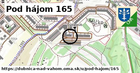 Pod hájom 165, Dubnica nad Váhom