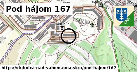 Pod hájom 167, Dubnica nad Váhom