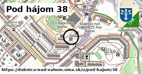 Pod hájom 38, Dubnica nad Váhom